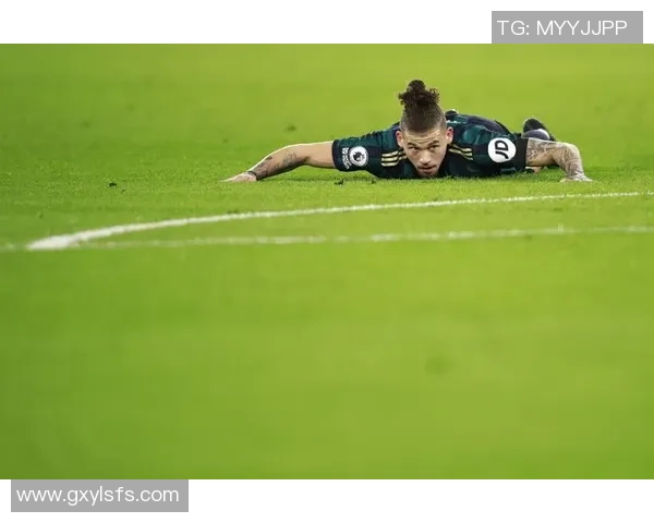 聚焦世界足球巨星成长历程与赛场传奇故事深度全景剖析报道集